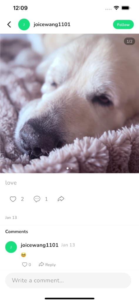 Share Moments - Capture and share pet photos